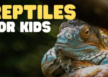 Reptile (2026) – A Masterful Thriller That Will Keep You on the Edge of Your Seat